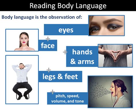 UNDERSTANDING AND INTERPRETING YOUR .